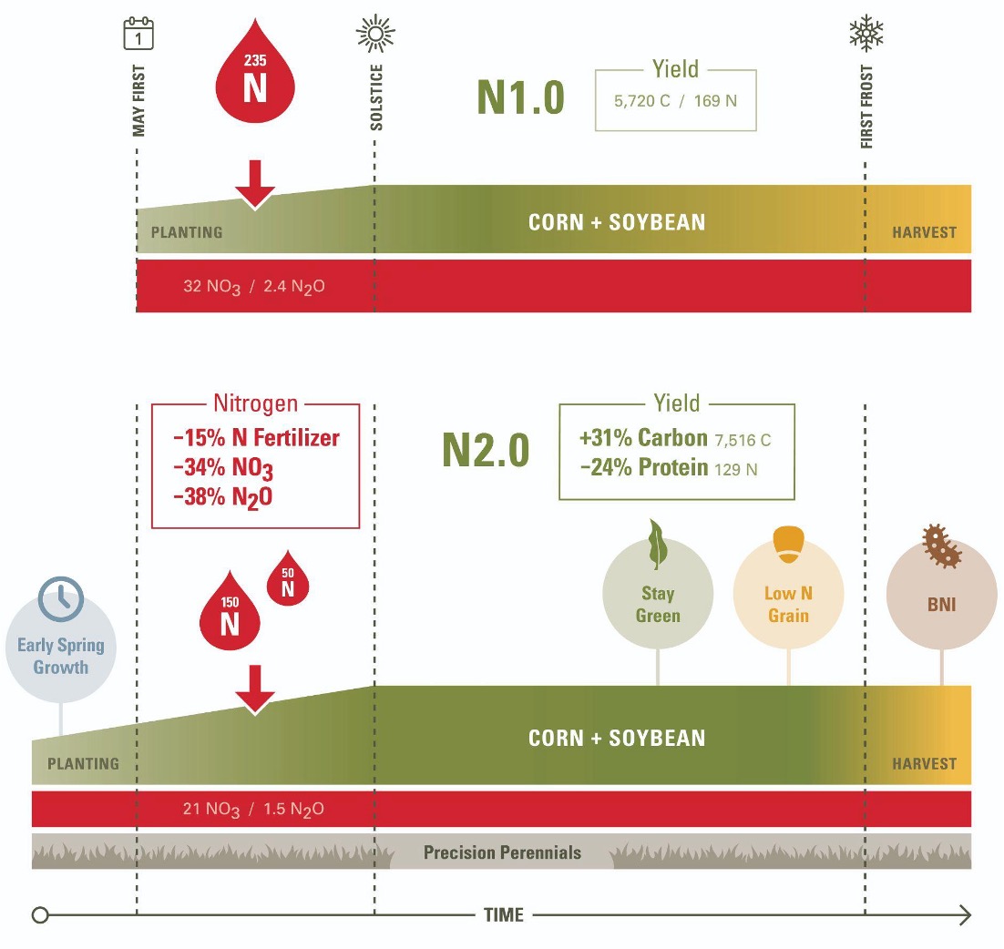 CERCA nitrogen system across a growing season: N1.0 today versus the N2.0 design, with less fertilizer, less nitrogen loss, and more carbon captured