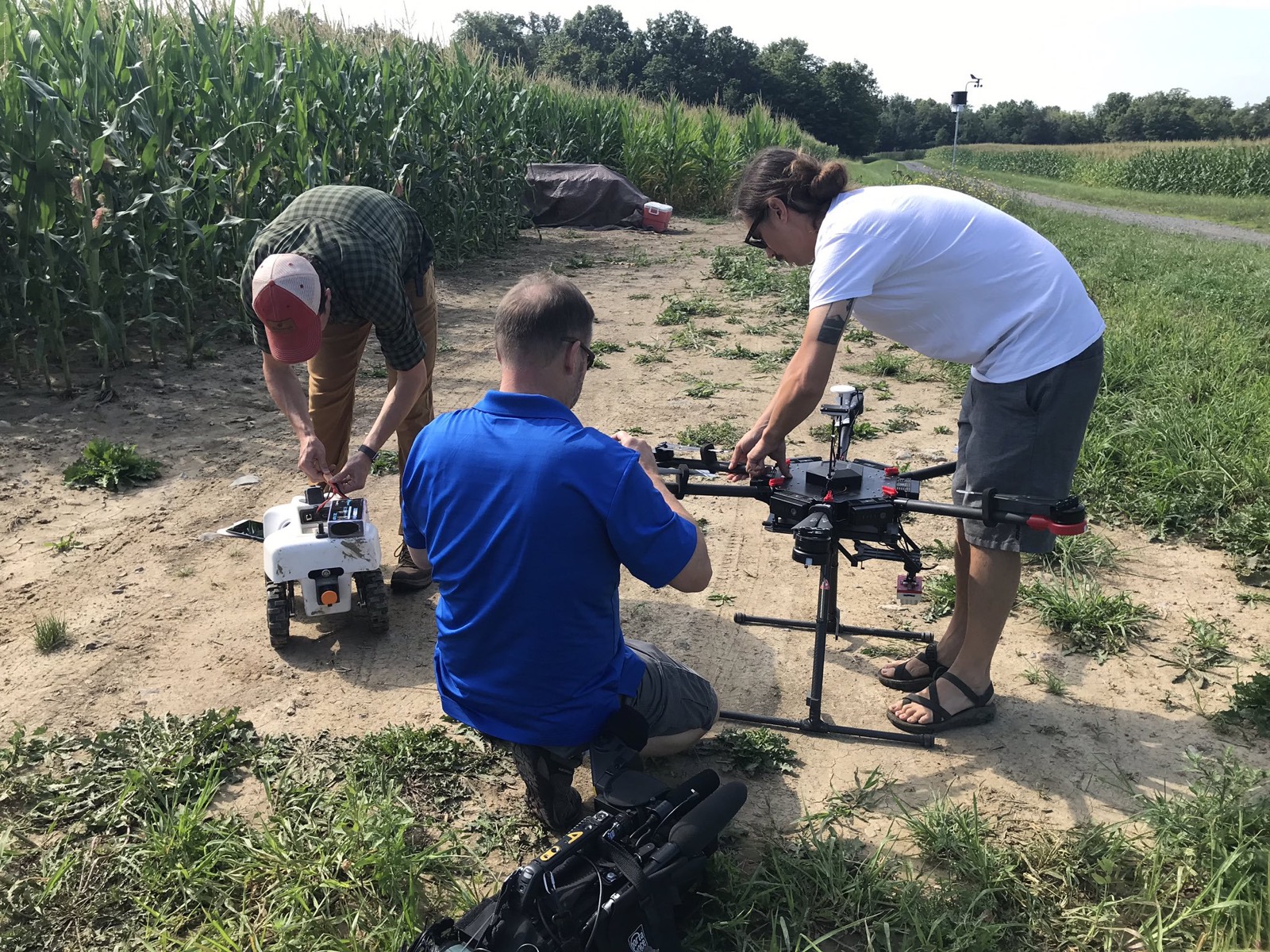 Field phenotyping rover and drone among crop rows